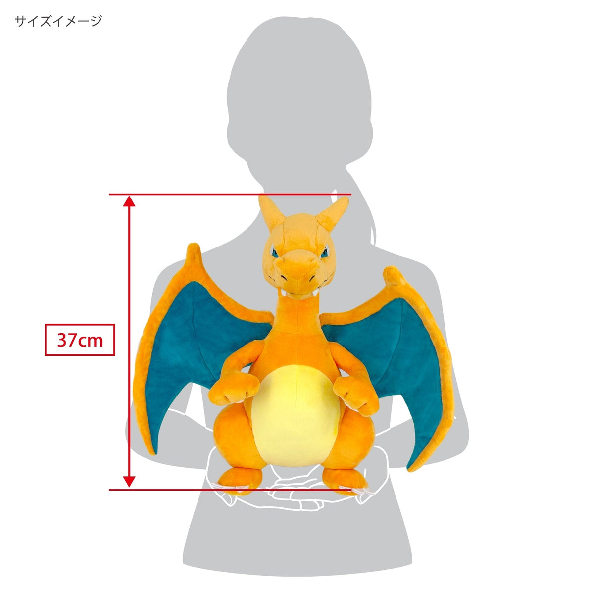 Charizard M (Pocket Monsters)-6
