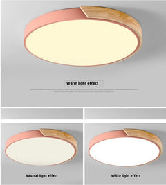 Creative Light Modern Minimalist Ceiling Lamp-8