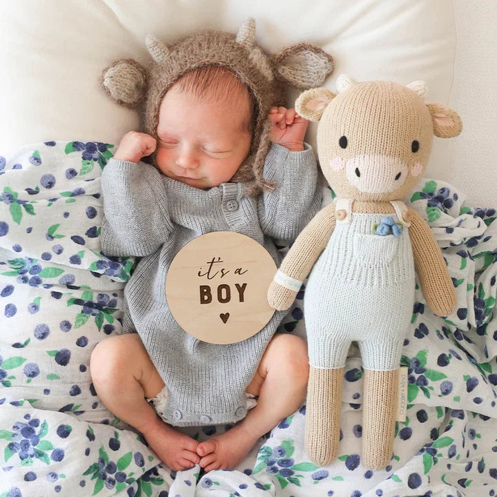 Asher the cow | Cuddle + Kind-5