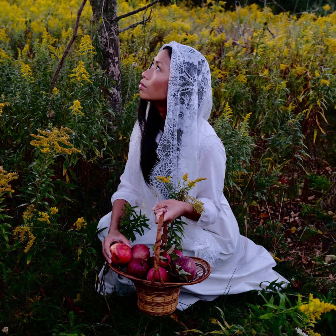 EARTH APPLE // chamomile elderberry tea-3