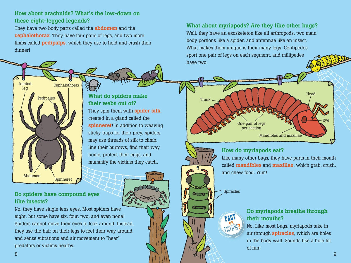 Peter Pauper Press - 100 Questions about Bugs - Ages 7+-4