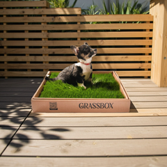 Real GrassBox-6