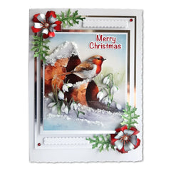Die Cut Decoupage – Robin On Pot (Pack Of 3)-3