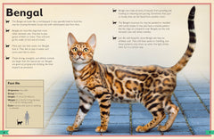 Insight Editions - The Magnificent Book of Cats - Ages 6+-2