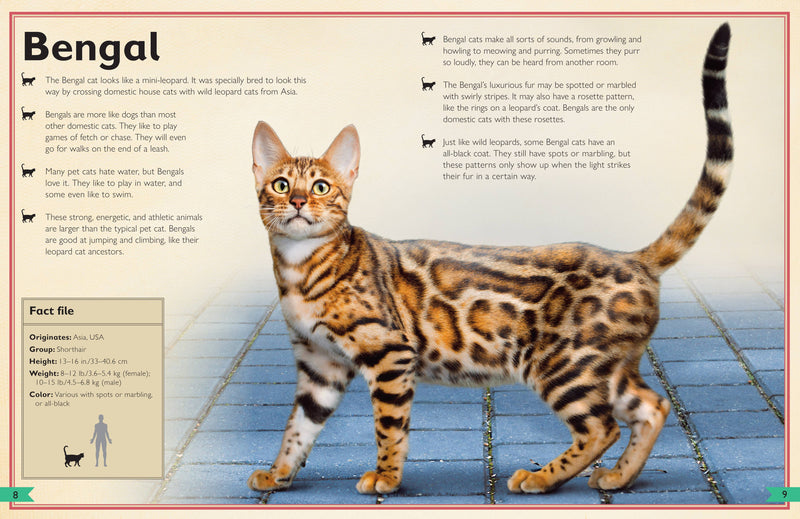 Insight Editions - The Magnificent Book of Cats - Ages 6+-2