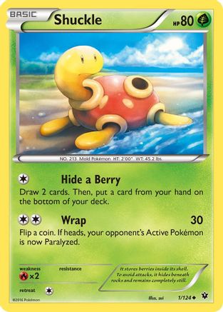 Shuckle 1/124 - XY  Fates Collide Reverse Holofoil-1
