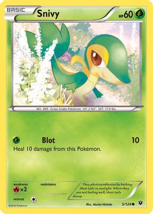 Snivy 5/124 - XY  Fates Collide Reverse Holofoil-1