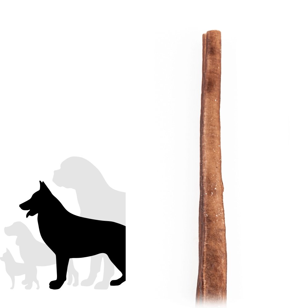 12" Jumbo Bully Stick-1