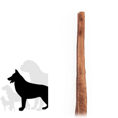 12" Jumbo Bully Stick-1