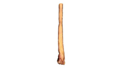 12" Monster Bully Stick-2