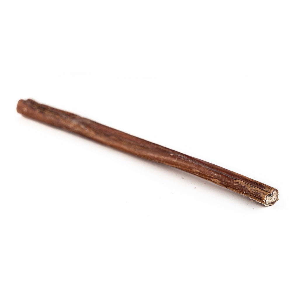 12" Standard Bully Stick-2