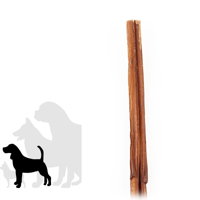 12" Standard Bully Stick-1