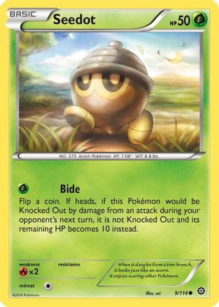 Seedot 9/114 - XY  Steam Siege Reverse Holofoil-1