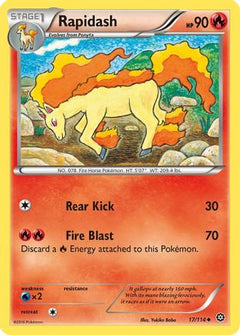 Rapidash 17/114 - XY  Steam Siege Reverse Holofoil-1