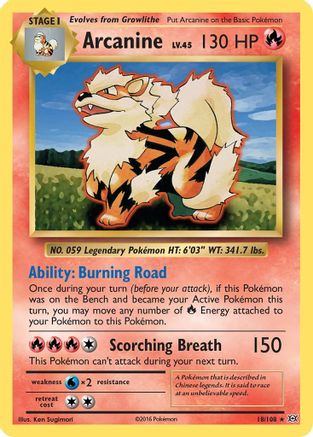 Arcanine 18/108 - XY  Evolutions Reverse Holofoil-1