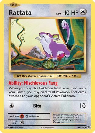Rattata 66/108 - XY  Evolutions Reverse Holofoil-1