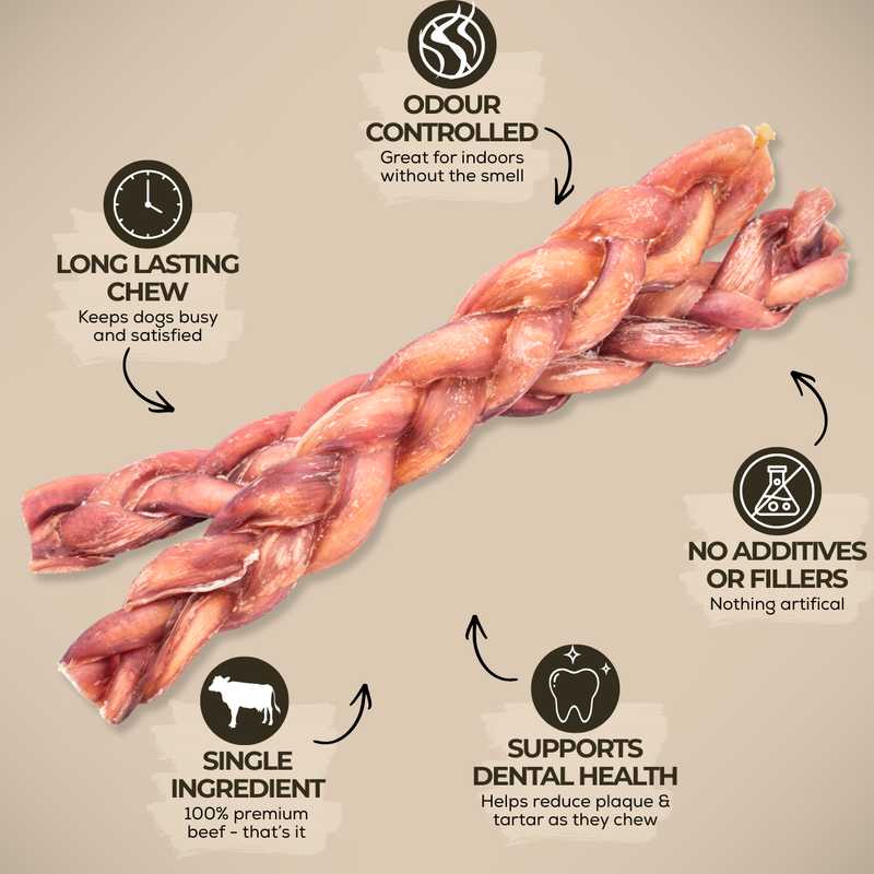 12 Inch Thick Braided Bully Stick-3