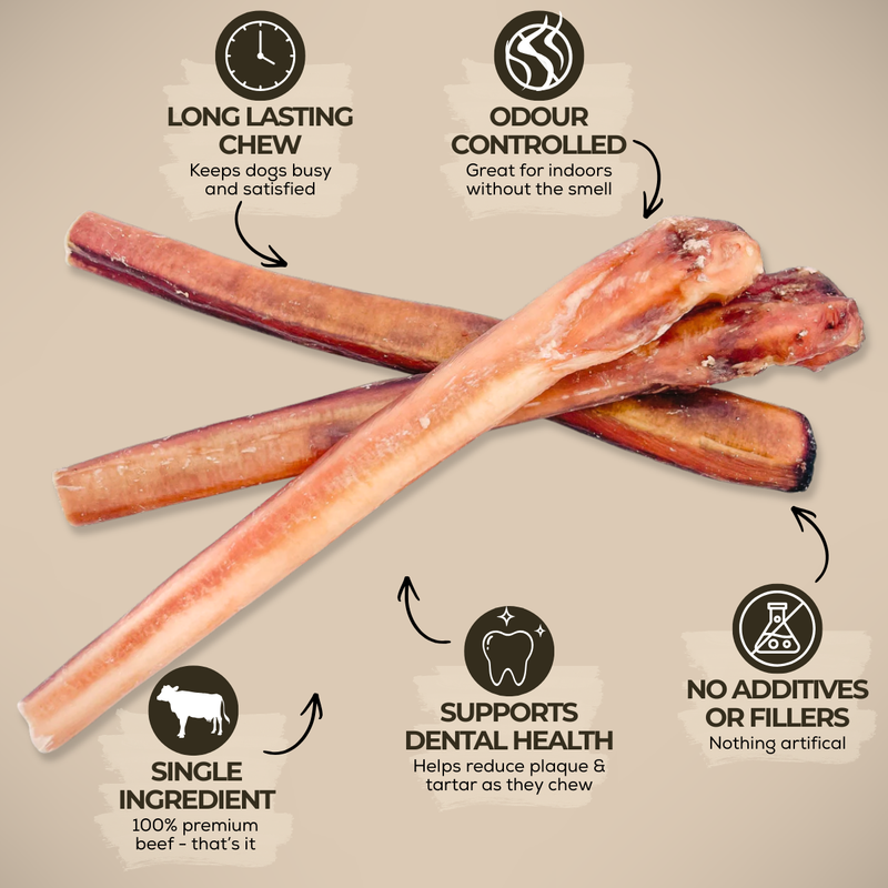12 Inch Monster Bully Stick-3