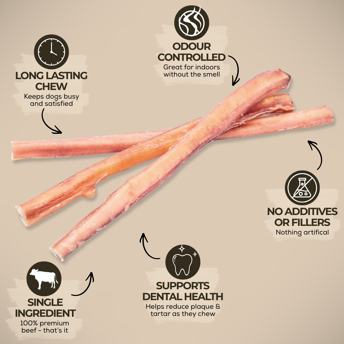 12 Inch Standard Bully Stick-3