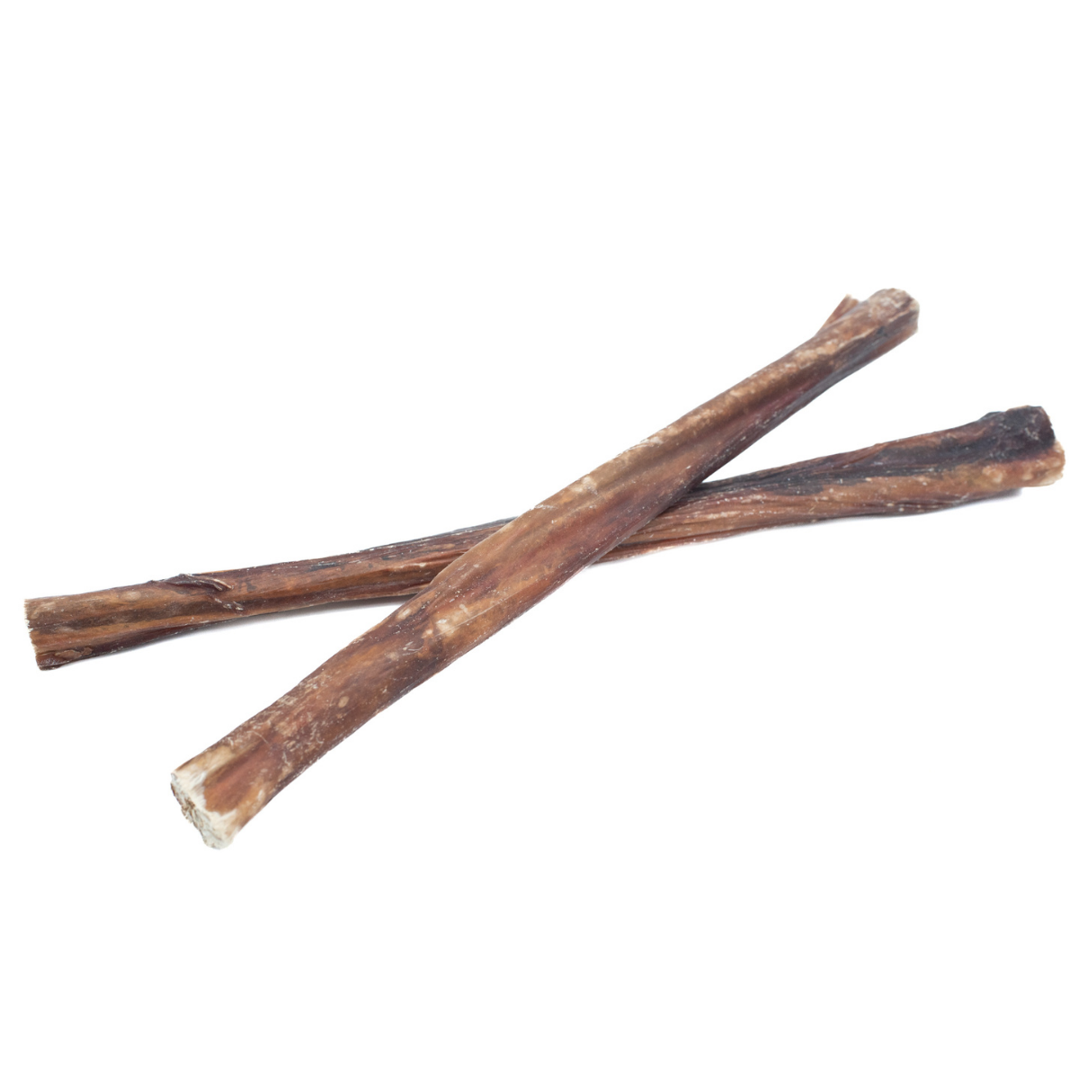 10-12 Inch Champion Chew-10