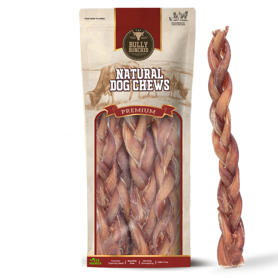 12 Inch Standard Braided Bully Stick-1