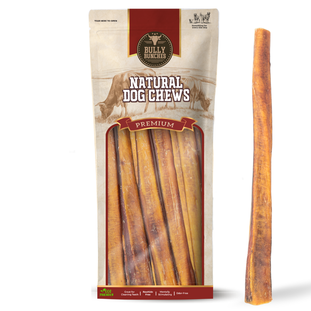 12 Inch Jumbo Bully Stick-1