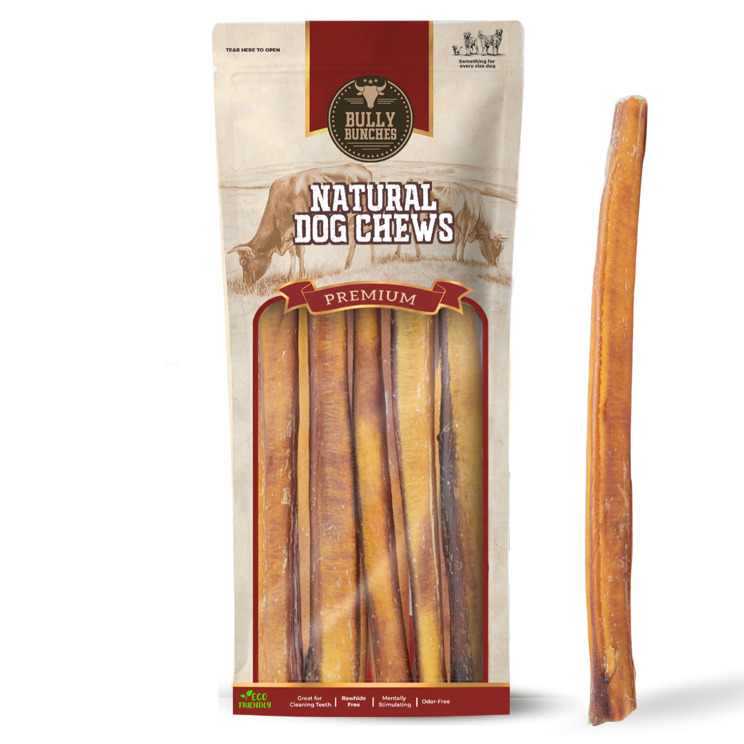 12 Inch Thick Bully Stick-1