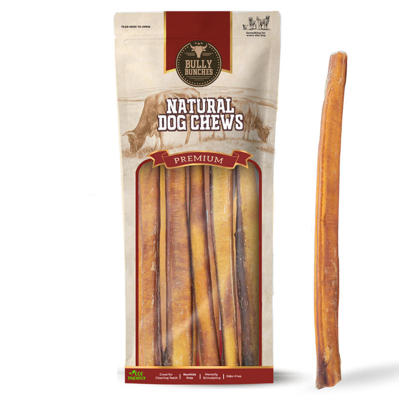 12 Inch Thick Bully Stick-1
