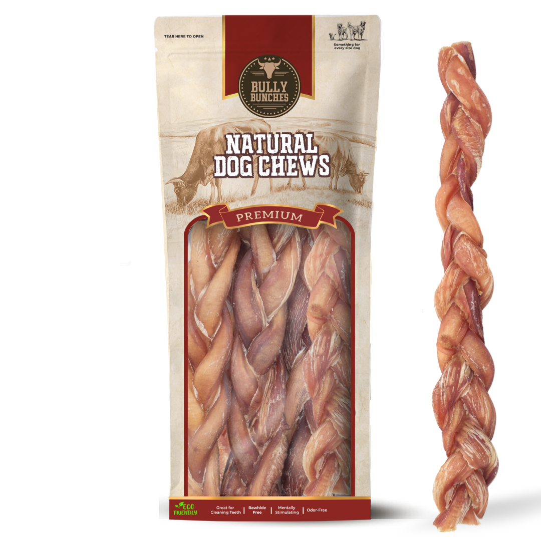12 Inch Thick Braided Bully Stick-1