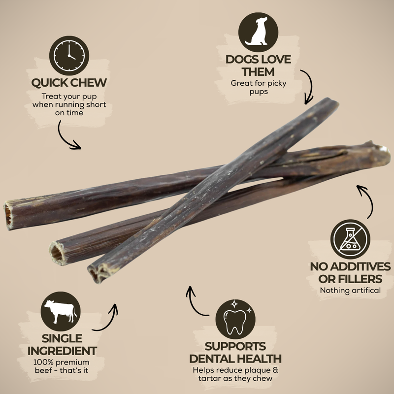 12 Inch Beef Jerky Stick-3