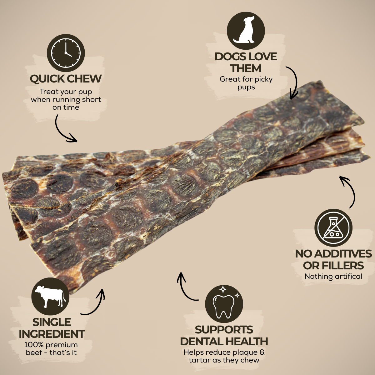 12 Inch Beef Jerky Strip-3