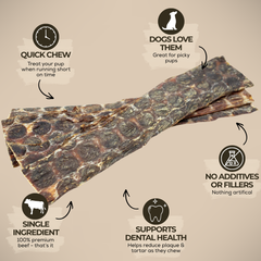 12 Inch Beef Jerky Strip-3