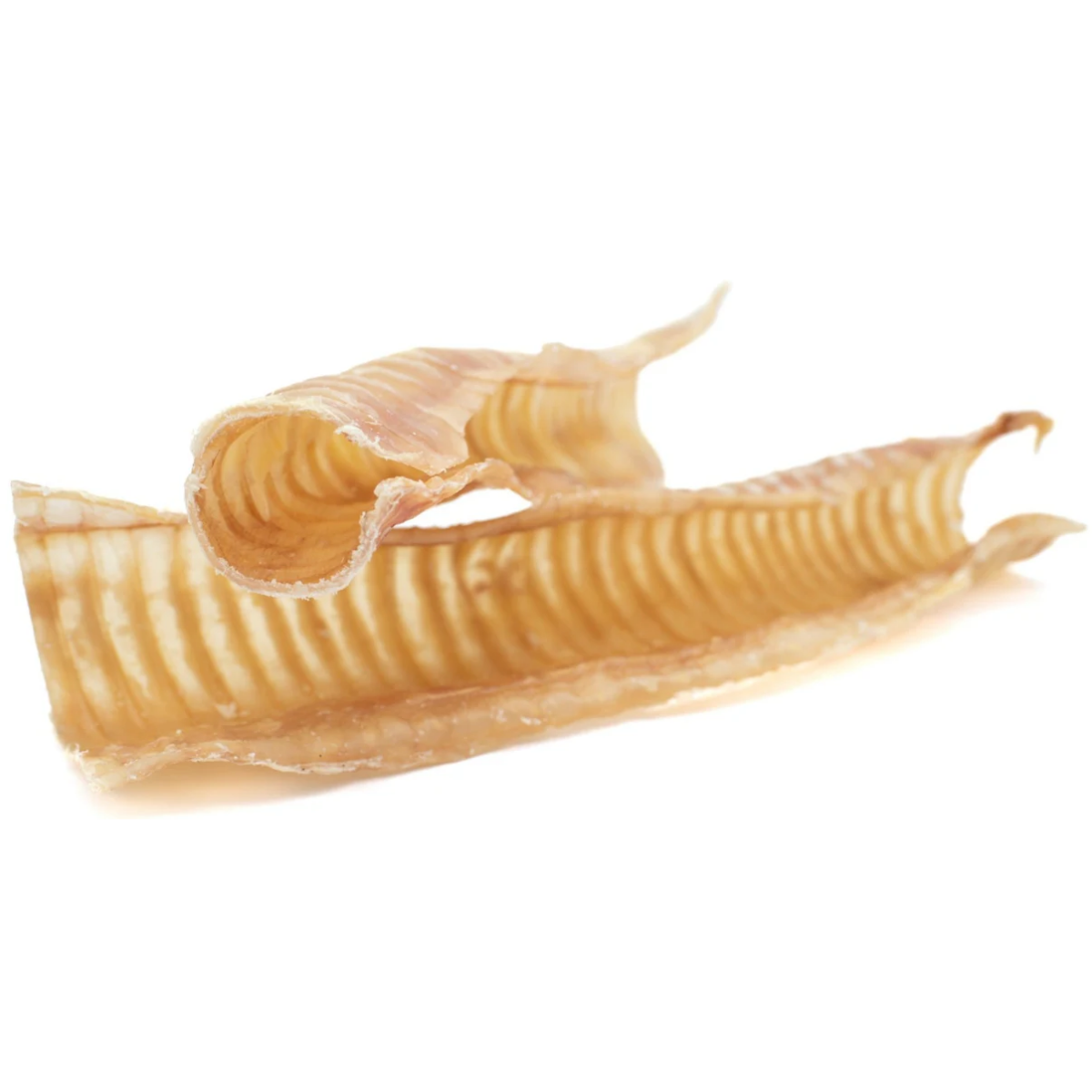 12 Inch Beef Trachea-8