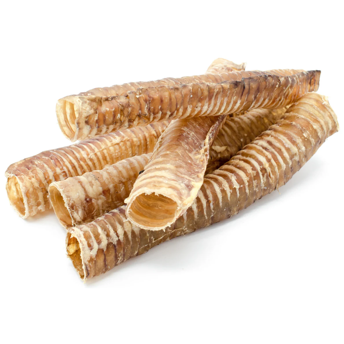 12 Inch Beef Trachea-5