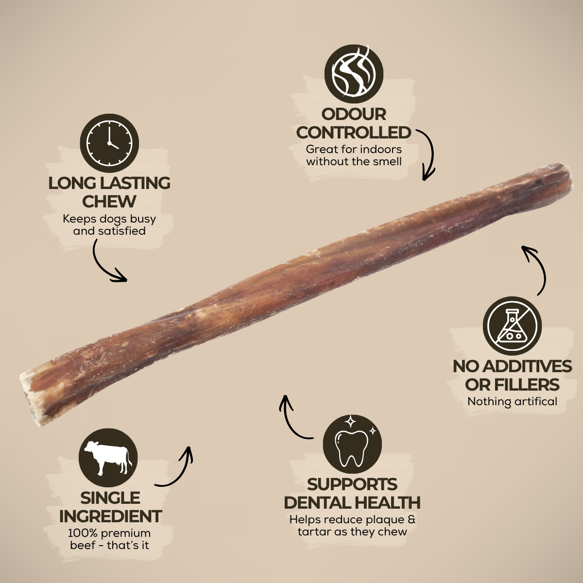 10-12 Inch Champion Chew-4
