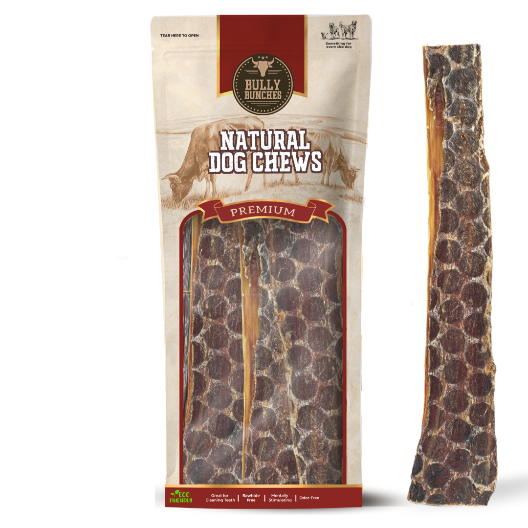 12 Inch Beef Jerky Strip-1