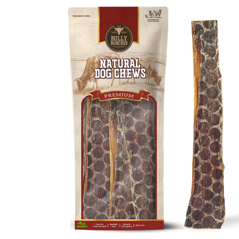 12 Inch Beef Jerky Strip-1