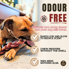 12 Inch Monster Braided Bully Stick-4