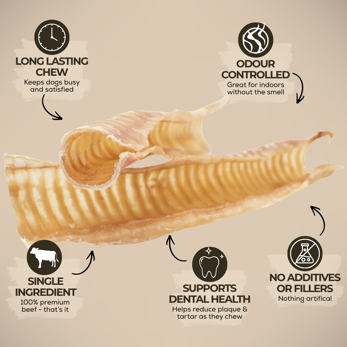 12 Inch Beef Trachea-3