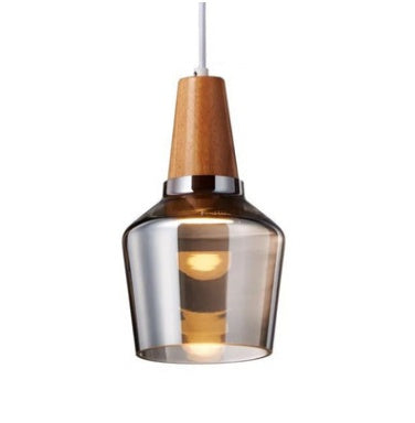 Modern Glass Pendant Light With Wood Accent-9