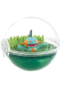 Pokemon Terrarium Collection 12 (1 Random Box) (Re-ment Blind Box)-6