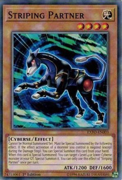 Striping Partner (EXFO-EN003) - Extreme Force Unlimited-1