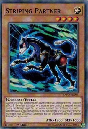 Striping Partner (EXFO-EN003) - Extreme Force Unlimited-1
