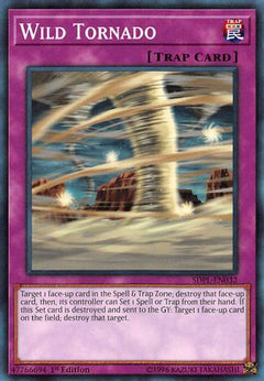 Wild Tornado (SDPL-EN032) - Structure Deck: Powercode Link 1st Edition-1