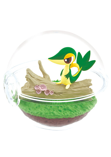 Pokemon Terrarium Collection 12 (1 Random Box) (Re-ment Blind Box)-3