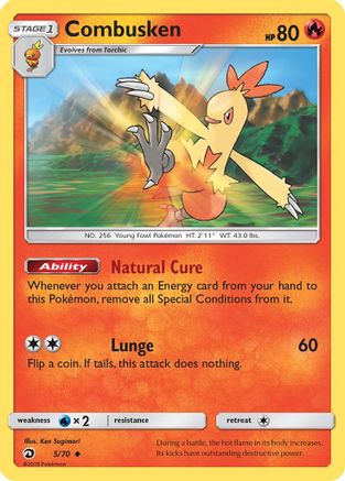 Combusken/70 - Dragon Majesty Reverse Holofoil-1
