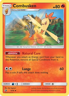 Combusken/70 - Dragon Majesty-1