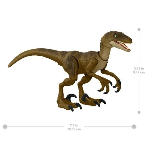 Jurassic World Hammond Collection – Velociraptor (UPC: 194735039920)