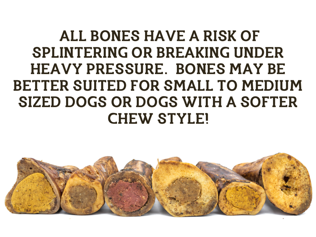 5-6 Inch Marrow Bone-5