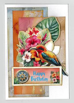 3Quarter Designs Tropic Excursion 6x4 Card Pack-6